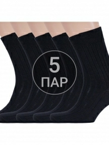 Комплект из 5 пар мужских носков Брестские (БЧК) из 100% хлопка, 5-14С2220, рис. 055, ЧЕРНЫЕ