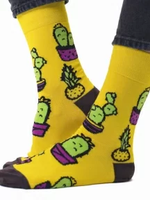Носки unisex St. Friday Socks "Оранжерея №16" (409-8)