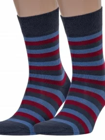 Комплект из 2 пар мужских носков Брестские (БЧК), 2-14С2122, рис. 014, СЕРО-БОРДОВЫЕ