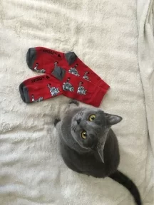 Носки unisex St. Friday Socks "Пара килограмм Великой Британии" (776-11)