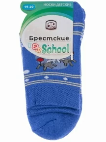 Детские махровые носки Брестские (БЧК), 14С3060, рис. 826, ВАСИЛЕК