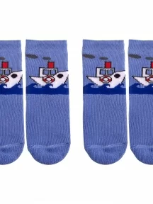 Комплект из 2 пар детских махровых носков Альтаир, 2-С108, ГОЛУБЫЕ