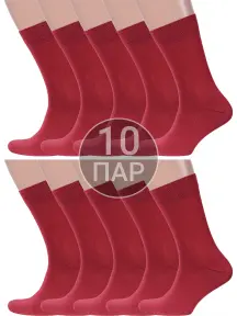Комплект из 10 пар мужских носков MSCLUB ВИННЫЕ (10-ПН-01Э)