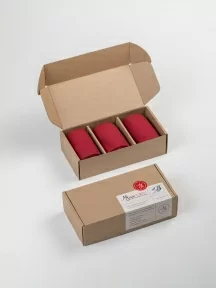 Набор из 3 пар мужских носков MSCLUB, 3-ПН-01, БОРДОВЫЕ