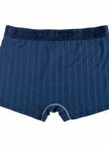 Мужские бамбуковые трусы-боксеры SD (by Salvador Dali), SD2040-1, СИНИЕ