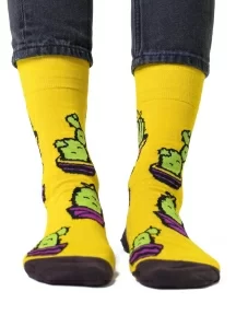 Носки unisex St. Friday Socks "Оранжерея №16" (409-8)