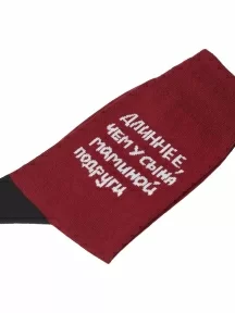 Носки unisex St. Friday Socks, 517-4, "Длиннее, чем у сына маминой подруги"