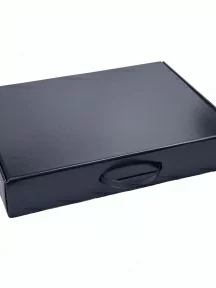 Набор из 30 пар мужских носков Flappers Peppers, 30-1МБ19-0, черные в черном кейсе