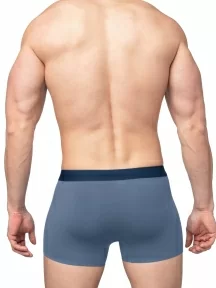 Мужские трусы-боксеры из модала Sergio Dallini, SD2908-6, СВЕТЛО-СЕРЫЕ