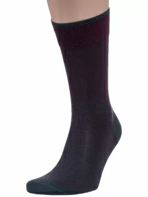 Набор мужских носков из мерсеризованного хлопка, 6 пар (ТМ Sergio di Calze), PG-17SC4-6, микс 3