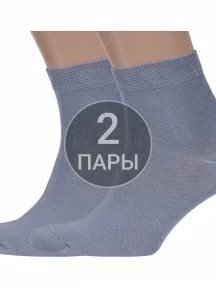 Комплект из 2 пар мужских носков Брестские (БЧК), 2-14С2124, рис. 000, СЕРЫЕ