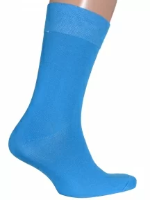 Комплект из 2 пар мужских носков MSCLUB №М20, 2-nm-239Э, ГОЛУБЫЕ с Венерой