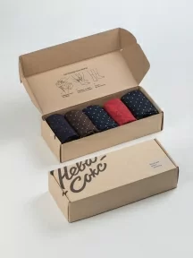 Набор из 5 пар мужских носков "Нева-Сокс", НС-5-НМ222, "Точки"