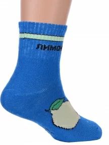Детские спортивные носки Hobby Line, Ндх3592-03, СИНИЕ