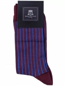 Комплект из 3 пар мужских носков Sergio Di Calze (PINGONS) из мерсеризованного хлопка, 3-18SC2, БОРДОВЫЕ