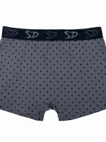 Мужские трусы-боксеры SD (by Salvador Dali), SD1105-3, СЕРЫЕ