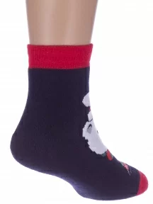 Комплект из 2 пар детских махровых носков "Красная ветка", 2-С-1607, СИНИЕ