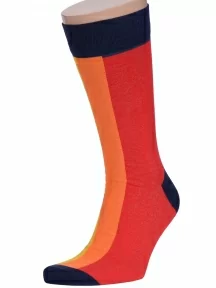 Мужские носки "Нева-Сокс", MAG-10, МУЛЬТИКОЛОР