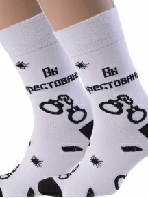 Комплект из 2 пар мужских носков MSCLUB №М15, 2-nm-184Э, "Вы арестованы"