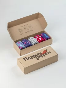 Набор из 5 пар женских носков Flappers Peppers, 5-1МБ19Ж-3, микс