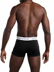Мужские трусы-боксеры Sergio Dallini, SDV2941-5, ЧЕРНЫЕ