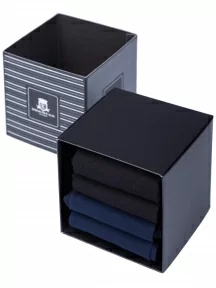 Набор мужских гольфов из мерсеризованного хлопка, 4 пары (ТМ Sergio di Calze), PG-19SC1-4, микс 2