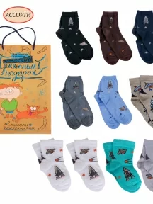 Набор для мальчиков из 10 пар носков LORENZline, Л71-10, микс 1