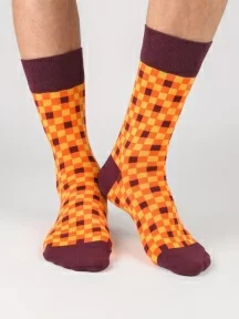 Набор из 5 пар мужских носков "Нева-Сокс", НС-5-НМ210, микс "Жгучий карри"