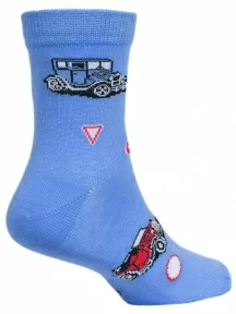 Набор для мальчиков из 10 пар носков LORENZline, Л64-10, микс 1