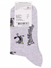 Мужские носки Брестские (БЧК), 23С2153, рис. 489, СВЕТЛО-СЕРЫЕ МЕЛАНЖ