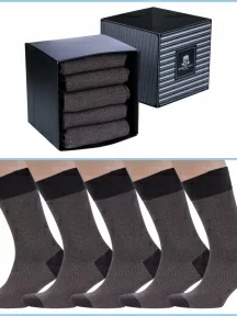 Набор из 5 пар мужских хлопковых носков (ТМ Sergio di Calze), PG-15SC3-5, КОРИЧНЕВЫЕ