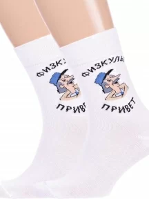 Комплект из 2 пар мужских носков Брестские (БЧК), 2-23С2153, рис. 487, БЕЛЫЕ