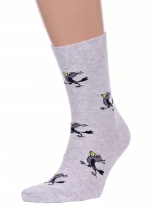 Мужские носки Брестские (БЧК), 23С2153, рис. 489, СВЕТЛО-СЕРЫЕ МЕЛАНЖ