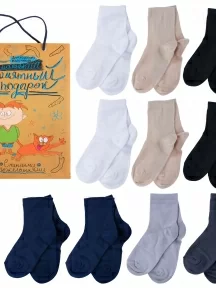 Набор для мальчиков из 10 пар носков LORENZline, Л33-10, микс