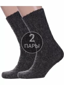 Комплект из 2 пар мужских шерстяных носков Альтаир, 2-ММ-209, КОРИЧНЕВЫЕ
