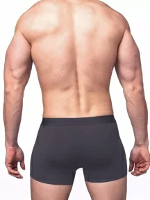 Мужские трусы-боксеры из модала Sergio Dallini, SG2922-3, СЕРЫЕ