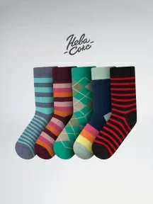 Набор из 5 пар мужских носков "Нева-Сокс", НС-5-НМ216/2, микс "Удачный денек"