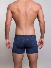 Мужские бамбуковые трусы-боксеры SD (by Salvador Dali), SD2041-1, СИНИЕ