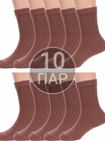 Комплект из 10 пар детских носков Альтаир, 10-М20, ШОКОЛАДНЫЕ