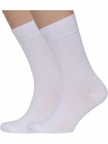 Комплект из 2 пар мужских носков Брестские (БЧК), 2-14С2122, рис. 000, БЕЛЫЕ