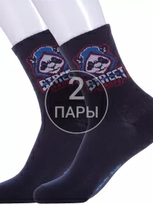 Комплект из 2 пар детских спортивных носков Conte kids, 2-20С-167СП, рис. 929, ТЕМНО-СИНИЕ