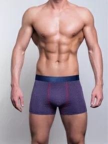 Мужские бамбуковые трусы-боксеры SD (by Salvador Dali), SD2040-3, ФИОЛЕТОВЫЕ