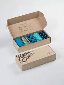 Набор из 5 пар мужских носков "Нева-Сокс", НС-5-НМ40, микс "На Байкале"