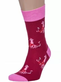 Мужские носки MSCLUB №М48, nm-541, БОРДОВЫЕ