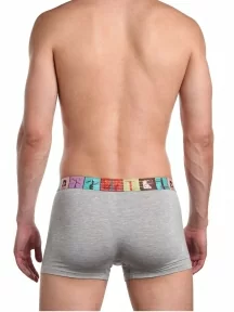 Мужские трусы-боксеры из вискозы Tuosite, TS8023-1, СЕРЫЕ