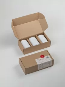 Набор из 3 пар мужских носков MSCLUB, 3-ПН-01, БЕЛЫЕ