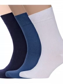 Комплект из 3 пар мужских носков Брестские (БЧК), 3-14С2122, рис. 000, микс 5