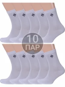 Комплект из 10 пар мужских носков Альтаир, 10-С8, СВЕТЛО-СЕРЫЕ