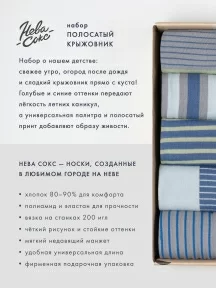 Набор из 5 пар мужских носков "Нева-Сокс" "Полосатый крыжовник" (НС-5-НМ54)