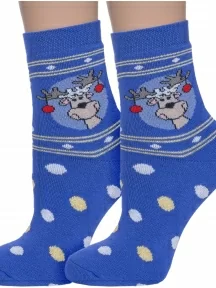 Комплект из 2 пар детских махровых носков Брестские (БЧК), 2-14С3060, рис. 826, ВАСИЛЕК